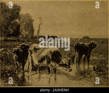 Catalogue of the collections of the American Art Association to be absolutely sold by auction to settle the estate of the late RAustin Robertson; part first . A herd of cows is being driven into a shady grove in thedirection of a fenced orchard which is seen in the middlegroundat the left. Majestic elm-trees shade the pasturage, and thewhole landscape is gay with the ripe and voluptuous brightnessof midsummer. At the right, the massive trunk of a tree lendsdignity to the foreground. The landscape seen in the distance isresplendent in the glow of the summer sun. Signed at the right. 1870. Canva Stock Photo