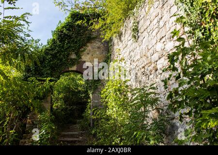 Stairs leading to a archway in a old ancient ruin with a natural stone wall on the right side covered with plants Stock Photo