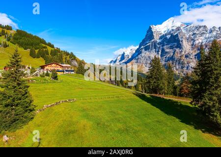 Grindelwald, Switzerland middle station at First peak of Swiss Alps mountain, snow peaks panorama, Bernese Oberland, Europe Stock Photo