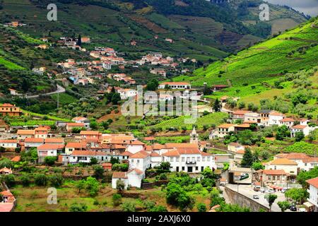 Peso da Regua in Douro valley. Portugal vineyard countryside landscape. Alto Douro DOC wine making landscape. Stock Photo