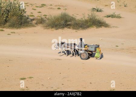 A man driving donkey cart on barren land with luggage on it and green grass around it Stock Photo