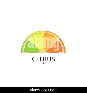 Pieces of citrus fruit Stock Vector