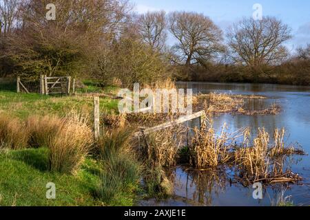 The river Thames as it meanders through the Oxfordshire countryside in England. The level is high due to heavy rain falls Stock Photo