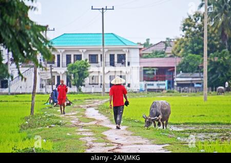 Locals walk along a dirt road through rice paddies on Don Det, 4,000 Islands, Mekong River, Laos Stock Photo