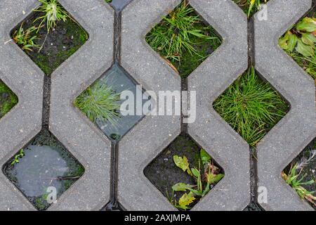 Texture, concrete asphalt cells eco-friendly parking for cars. outdoor parking with natural fresh green grass. Wild grass grows through cement rhombs Stock Photo