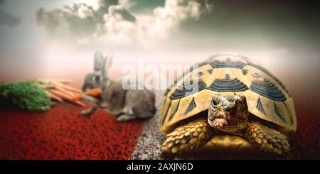 An illustration of a race between a rabbit and a turtle. Stock Photo