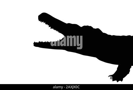 Black silhouette of a crocodile head on white background, vector illustration Stock Vector