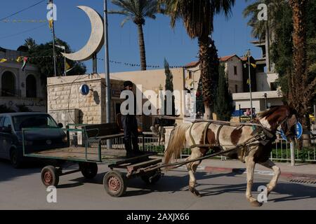 A Palestinian man rides a horse cart  in the main square of the city of Jericho in the Palestinian Authority territories in the West Bank, Israel Stock Photo