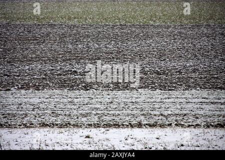 Fields covered with a thin layer of snow,  wintry mood, pattern of agricultural winter landscape in the south of Burgenland Stock Photo