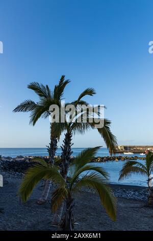 Palm trees in silhouette on the beach in Playa San Juan, Tenerife, Canary Islands, Spain Stock Photo