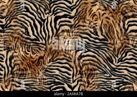 Black and white zebra - leo mix pattern, Animal skin print. - Illustration Stock Photo