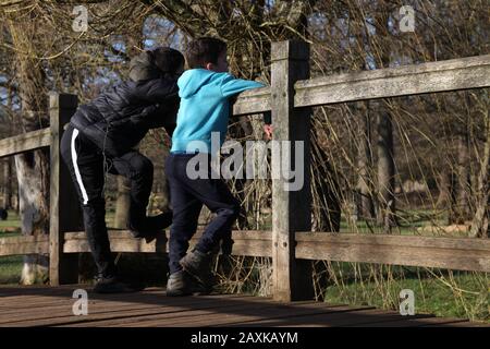 Two boys play pooh sticks on wooden bridge in Richmond Park, London, February 2020 Stock Photo