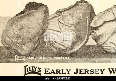 Lilly's complete annual catalog : seeds fertilizers stock foods bee supplies spray materiels poultry supplies . 12 SEATTLE ftjSS PORTLAND.