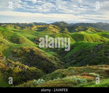 Coast near Cape Farewell, Tasman, South Island, New Zealand, Oceania Stock Photo