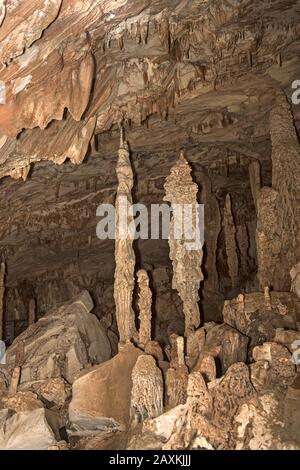 Stalagmites, stalactites and stalagnates, drip stone columns in the King chamber of the Wind Cave, Gunung Mulu Nationalpark, Sarawak, Borneo, Malaysia Stock Photo