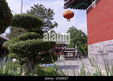 Wide angle shot of a building with a Chinese decoration hanging from it surrounded by trees Stock Photo