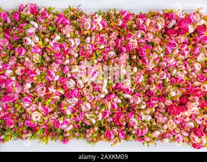 Beautiful background of artificial pink peonies in white frame. Wedding festive decoration. Floral rose background. Pink flowers background Stock Photo