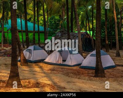 Bright tents surrounded by coconut trees for trekkers for camping near sea shore in Malvan, India Stock Photo