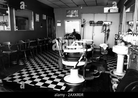 Gallery  Swivel Barbershop