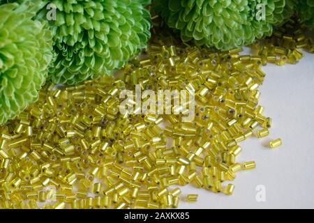 Close up of yellow tubular toho beads and green Chrysanthemum on light cream background. Beads used for embelishing garments. Stock Photo