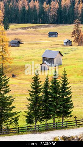 Traditional huts surrounded by colorful woods in autumn, Colfosco, Val Badia, Dolomites, South Tyrol, Italy Stock Photo