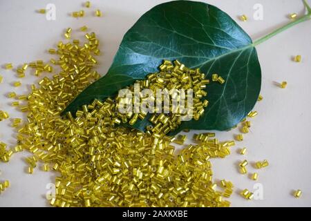 Close up of Yellow tubular toho beads and green ivy leaf on light cream background. Beads used for embelishing garments. Stock Photo