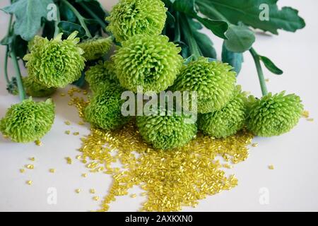 Yellow tubular toho beads and green Chrysanthemum on light cream background. Beads used for embelishing garments. Stock Photo