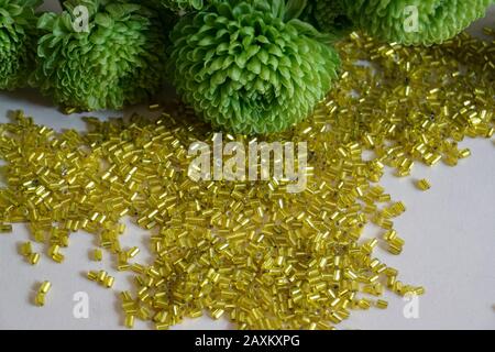 Multitude of yellow tubular toho beads and green Chrysanthemum on light cream background. Beads used for embelishing garments. Stock Photo