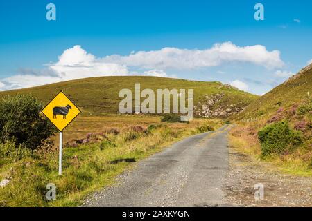 Country road through the townland of Croaghtrasna towards Muckish Mountain (An Mhucais), part of the Derryveagh range, County Donegal, Ireland Stock Photo