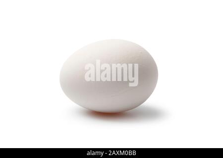 Chicken egg closeup isolated on white Stock Photo