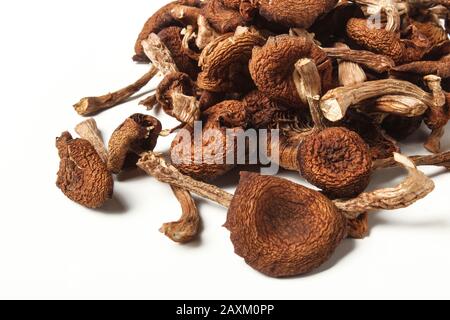 A handful of dried mushrooms isolated on a white background Stock Photo