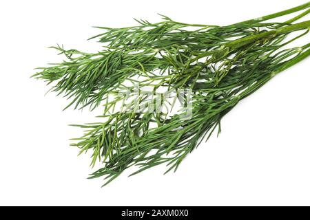 A bunch of green dill isolated on white Stock Photo