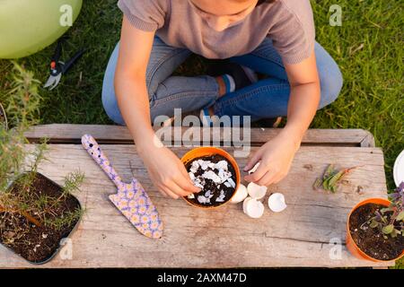 Crushed egg shells in a pot used as a natural organic fertilizer Stock Photo