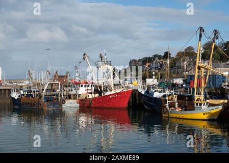 Der Hafen von Brixham ist Großbritanniens größter Fischereihafen, Devon, im Südwesten Englands. // Brixham harbour is Great Britain's largest fishing Stock Photo