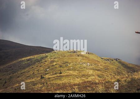 large field in the mountains with filter Stock Photo