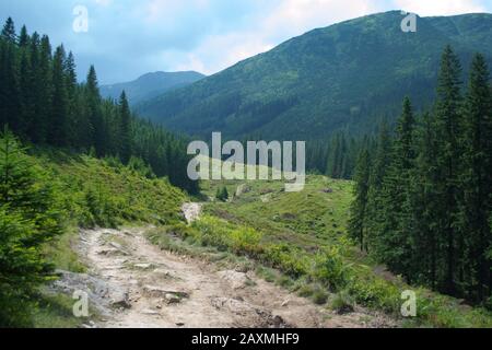 dirt road between the mountains dirt road between the mountains in the summer on a cloudy day Stock Photo