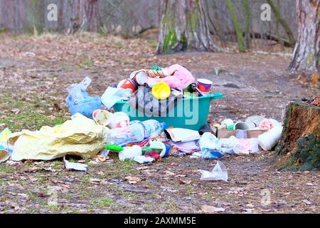 Contamination of nature with garbage waste. Plastic and paper trash lies in clearing in forest, closeup. Environmental pollution concept. Stock Photo