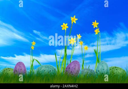 Colorful painted easter eggs on grass with daffodils and blue sky background Stock Photo