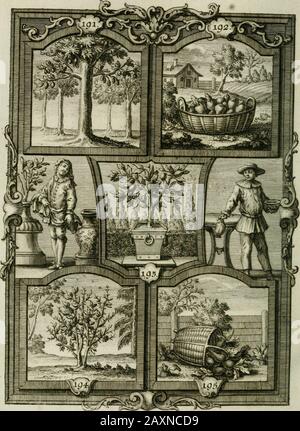 'Güldene Aepfel in silbernen Schalen, das ist, Worte geredet zu seiner Zeit über 400 Sinnbilder von allerley Zeiten und Umständen des menschlichen Lebens zu Beförderung der Erbauung' (1746) Stock Photo