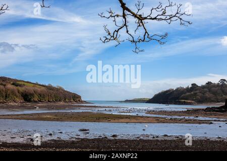 Gillan Harbour and Creek at low tide, from St. Anthony-in-Meneage looking across to Gillan Stock Photo