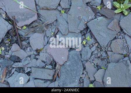 Top view of ground covered with concrete rubble Stock Photo