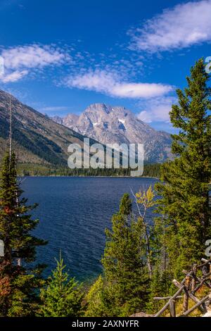 The USA, Wyoming, Grand Teton Nationwide park, mosses, Mount Moran, Jenny Lake Overlook Stock Photo