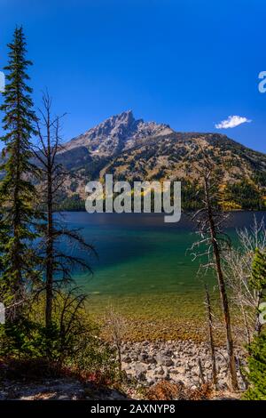 The USA, Wyoming, Grand Teton Nationwide park, mosses, Jenny Lake in front of Grand Teton Stock Photo