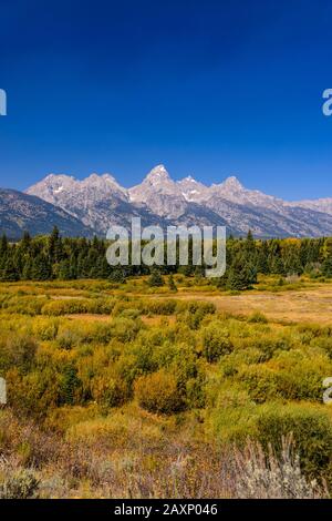 The USA, Wyoming, Grand Teton Nationwide park, mosses, Teton Range, view of the Blacktail Ponds Overlook Stock Photo