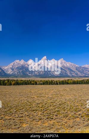 The USA, Wyoming, Grand Teton Nationwide park, mosses, Teton Range, view of the Glacier View Stock Photo