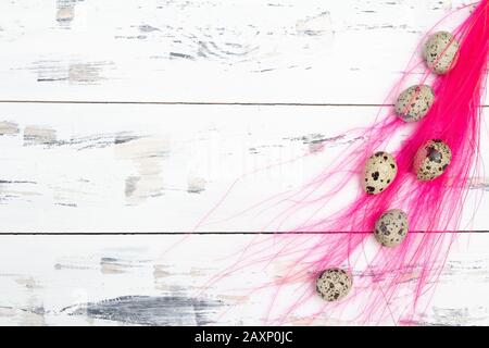 Quail eggs with pink feathers on white background. Easter concept. Free copy space. Stock Photo
