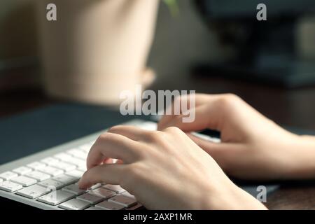 Girl works at home at the computer. Female hands are typing on the keyboard. Stock Photo