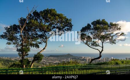 Trees frame panorama over Waikiki, Honolulu and Diamond Head from the Tantalus Overlook on Oahu, Hawaii Stock Photo