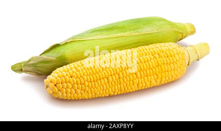 corn path isolated on white Stock Photo