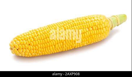 corn path isolated on white Stock Photo